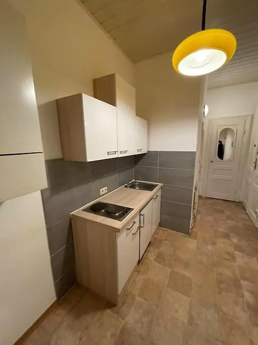 Fancy Vintage Studio Apartment Wenen